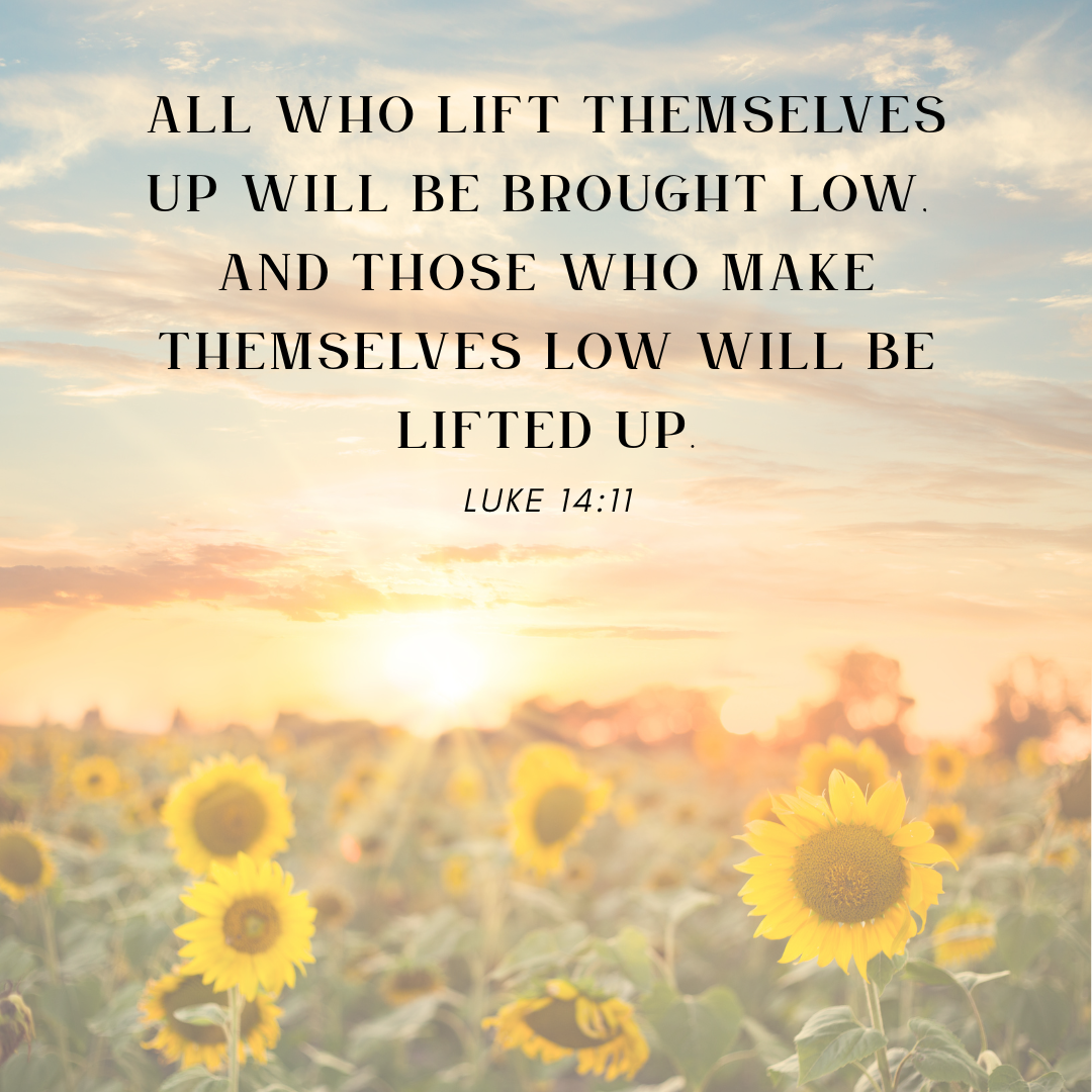 Living in the Kingdom On Purpose