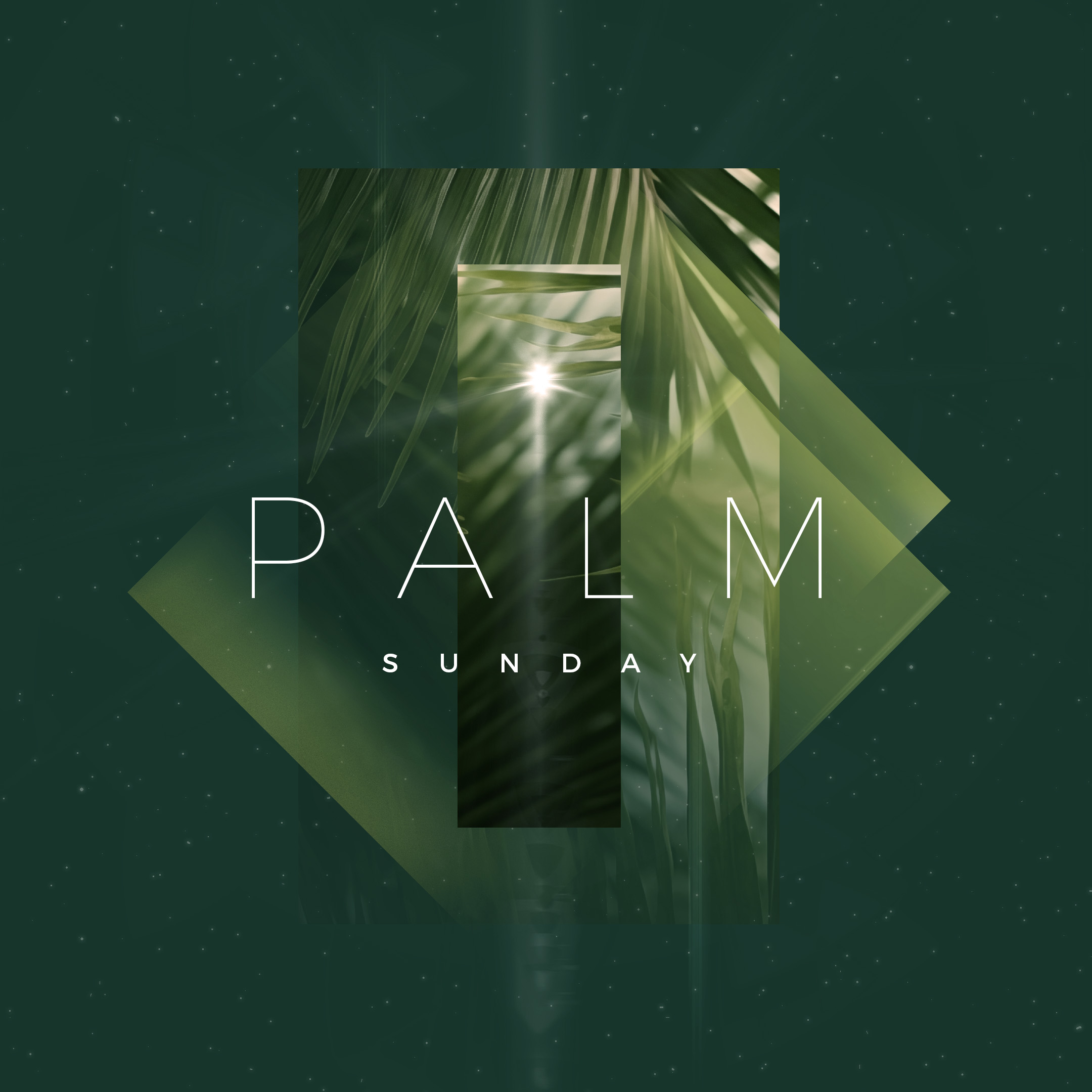 The Passion of Jesus - 11am Palm Sunday