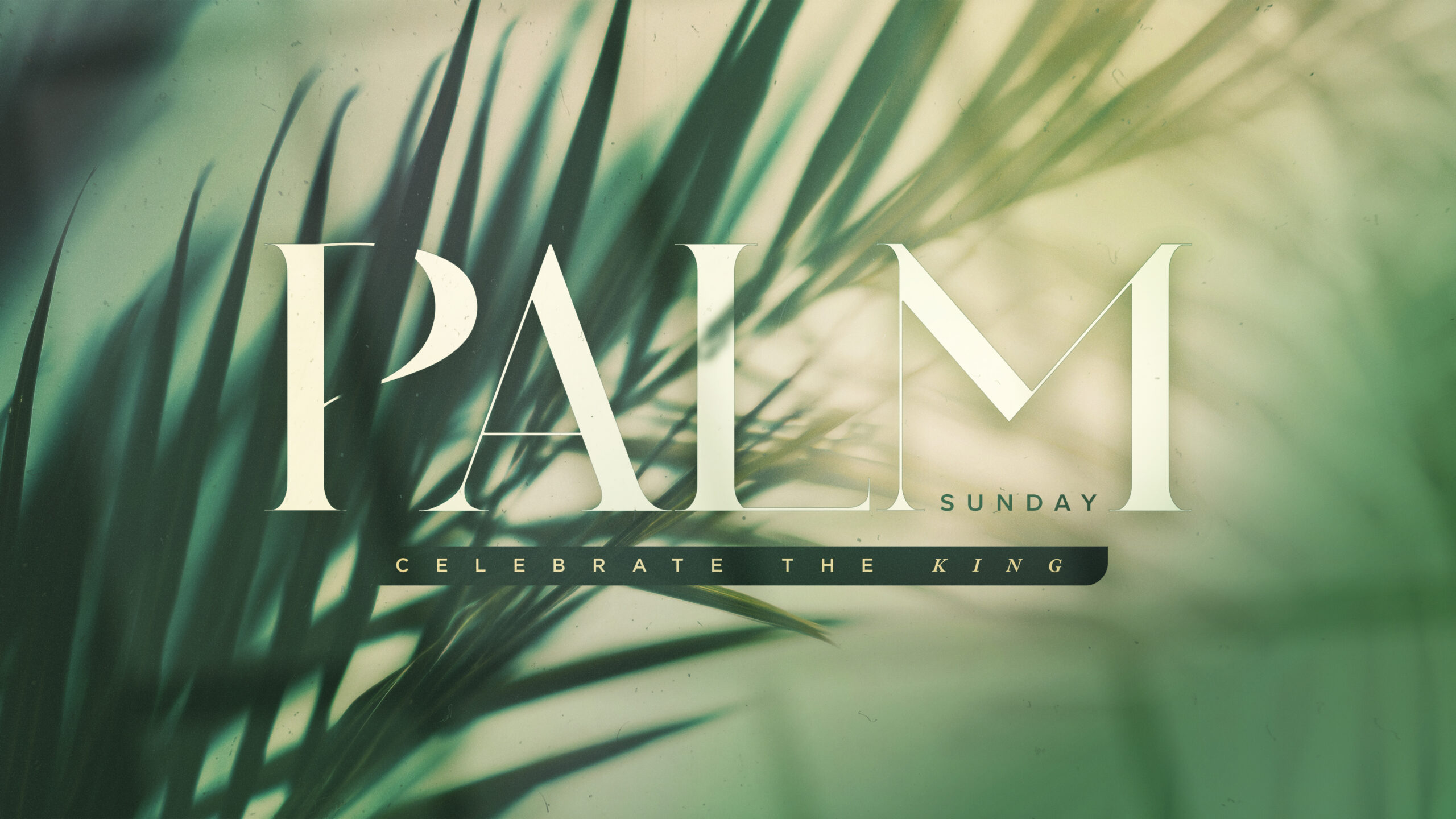 Palm Sunday - What We Choose